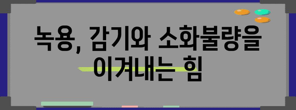 녹용보약의 놀라운 힘 - 감기와 소화불량 퇴치
