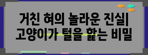 고양이 혀의 비밀 | 놀라운 기능과 과학적 설명