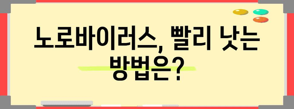 노로바이러스 초기 증상과 예방 조치