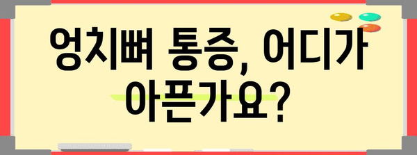 엉치뼈 통증 위치와 원인 파헤침