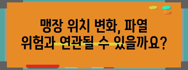 맹장 파열 위험에 영향 미치는 맹장 위치