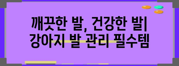 강아지 발 관리의 모든 것 | 깨끗하고 건강한 유지법