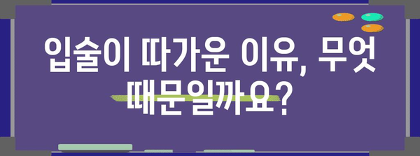 따가운 입술 완벽 대처법 | 원인부터 관리까지