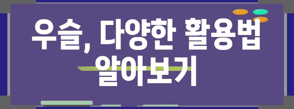 우슬 활용 건강 가이드 | 증상 분석부터 치료 안내까지