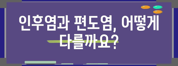 인후염과 편도염의 특징과 치료 구별 가이드