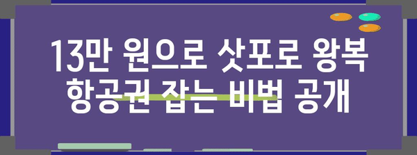 삿포로 저렴 항공권 꿀팁 | 13만 원 왕복 여행 방법
