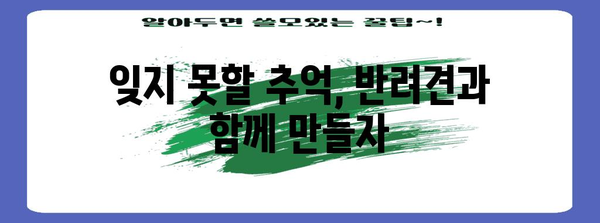 애견풀빌라에서 추억 만들기 | 반려견과 함께하는 여행