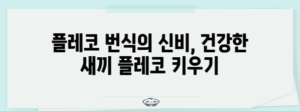 플레코 키우기 완벽 가이드 | 이끼 먹는 청소 물고기의 완벽한 육성 방법