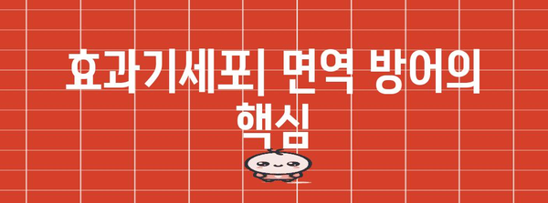 면역 체계의 수호자 | 효과기세포 분석 가이드