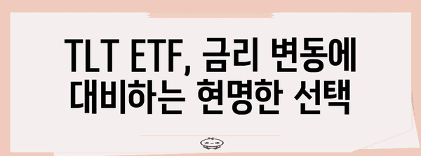 TLT ETF | 미래 전망 분석으로 안전하게 투자하세요