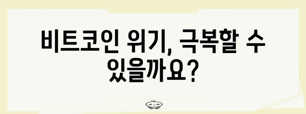 비트코인 위기 | 폭락 원인과 전망