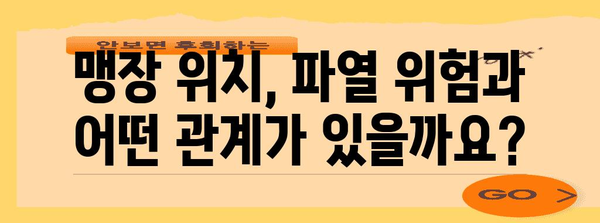 맹장 파열 위험에 영향 미치는 맹장 위치