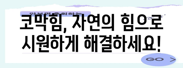 코막 뚫리는 시원함 | 천연 구제법과 수면 향상법