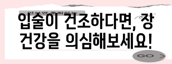 과민성 장 증후군과 입술 건조의 놀라운 관계