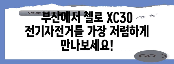 부산 전기자전거 최저가 안내 | 첼로 XC30 세일 알림
