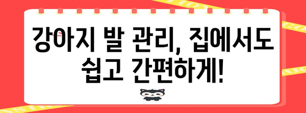 강아지 발 관리의 모든 것 | 깨끗하고 건강한 유지법