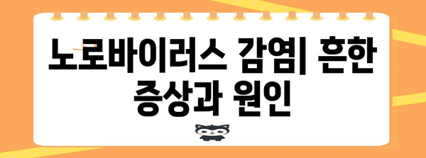 구토, 설사, 노로바이러스 | 원인, 증상, 예방