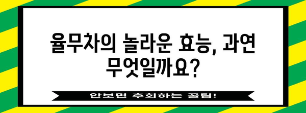 율무차 대비 물 | 효능, 부작용, 다이어트 효과 완전 분석