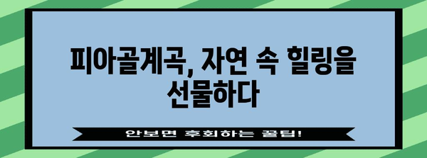 피아골계곡 숨겨진 보석 | 숙소의 매력과 여행 안내