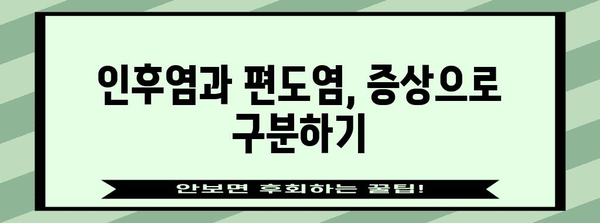 인후염과 편도염의 특징과 치료 구별 가이드