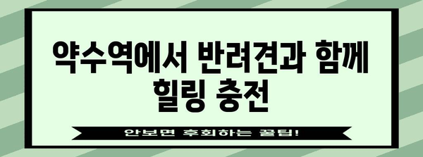 약수역 데이트에 애견 동반을 위한 힐링 카페