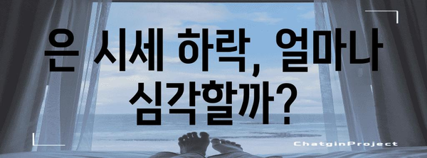 은 시세 하락 대비 전략 | 필수 투자 팁