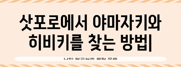 삿포로에서 야마자키와 히비키 찾는 방법 | 가격 비교