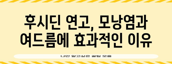 모낭염과 여드름 근절법 | 후시딘과 티트리 오일 활용