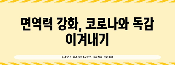 코로나와 A독감 동시 감염 위험성 | 겨울철 건강 관리 필수 지침