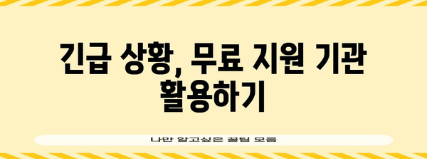 무직자를 위한 긴급 자금 지원 가이드