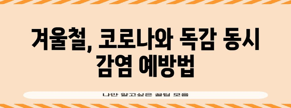 코로나와 A독감 동시 감염 위험성 | 겨울철 건강 관리 필수 지침