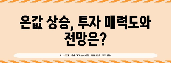 한돈 가격과 은값 전망 분석 | 시장 동향, 예측, 투자 전략