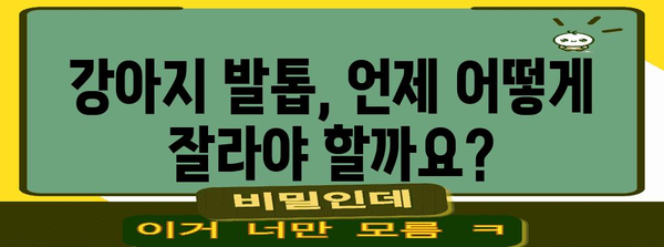강아지 발 관리의 모든 것 | 깨끗하고 건강한 유지법