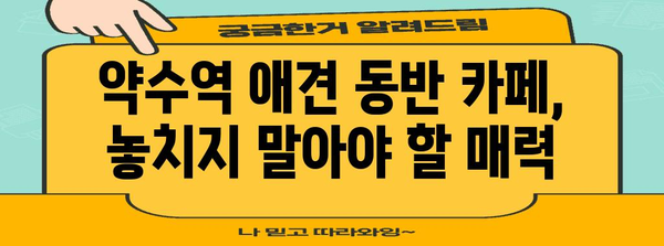 약수역 데이트에 애견 동반을 위한 힐링 카페