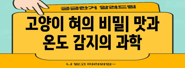 고양이 혀의 비밀 | 놀라운 기능과 과학적 설명