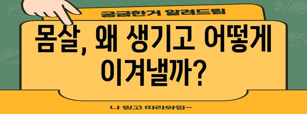 몸살 극복 일지 | 과학적 팁을 활용한 개인 맞춤형 대처법