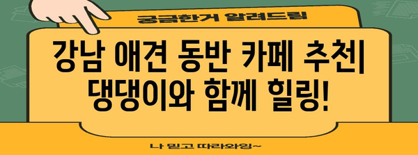 강남 애견 동반 카페 | 강아지와 함께하는 특별한 하루