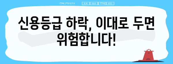 카트론 위기 극복 지침서 | 신용등급 하락 대응 전략