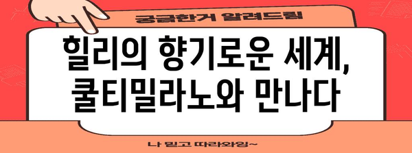 향수 & 디퓨저 체험의 천국 | 힐리 x 쿨티밀라노 팝업스토어