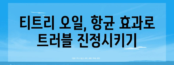 모낭염과 여드름 근절법 | 후시딘과 티트리 오일 활용