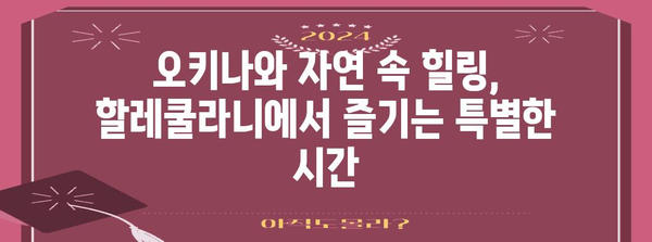 숨겨진 오키나와 보석 | 할레쿨라니 호텔에서 힐링 휴가
