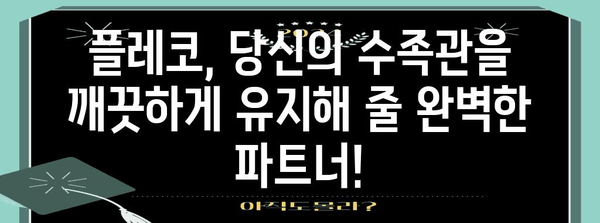 플레코 키우기 완벽 가이드 | 이끼 먹는 청소 물고기의 완벽한 육성 방법