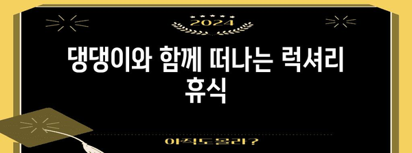 애견풀빌라에서 추억 만들기 | 반려견과 함께하는 여행