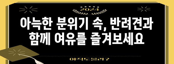 약수역 데이트에 애견 동반을 위한 힐링 카페