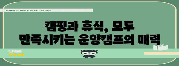 도심 속 요새 | 김포 운양캠프를 탐험하세요