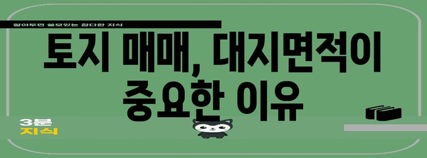 대지면적 계산 및 활용 가이드| 건축, 토지 매매, 개발 | 면적 계산, 토지, 건축 규제, 개발 계획