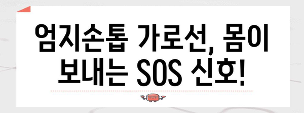 엄지손톱 가로선이 숨기는 건강 비밀