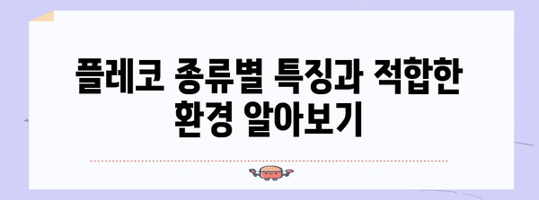 플레코 키우기 완벽 가이드 | 이끼 먹는 청소 물고기의 완벽한 육성 방법