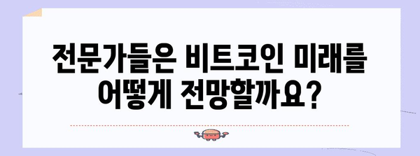 비트코인 위기 | 폭락 원인과 전망