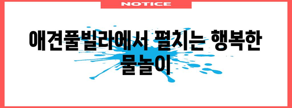 애견풀빌라에서 추억 만들기 | 반려견과 함께하는 여행